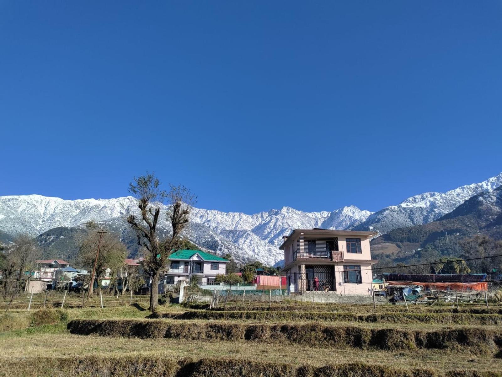 Homestay Palampur View Esterno foto