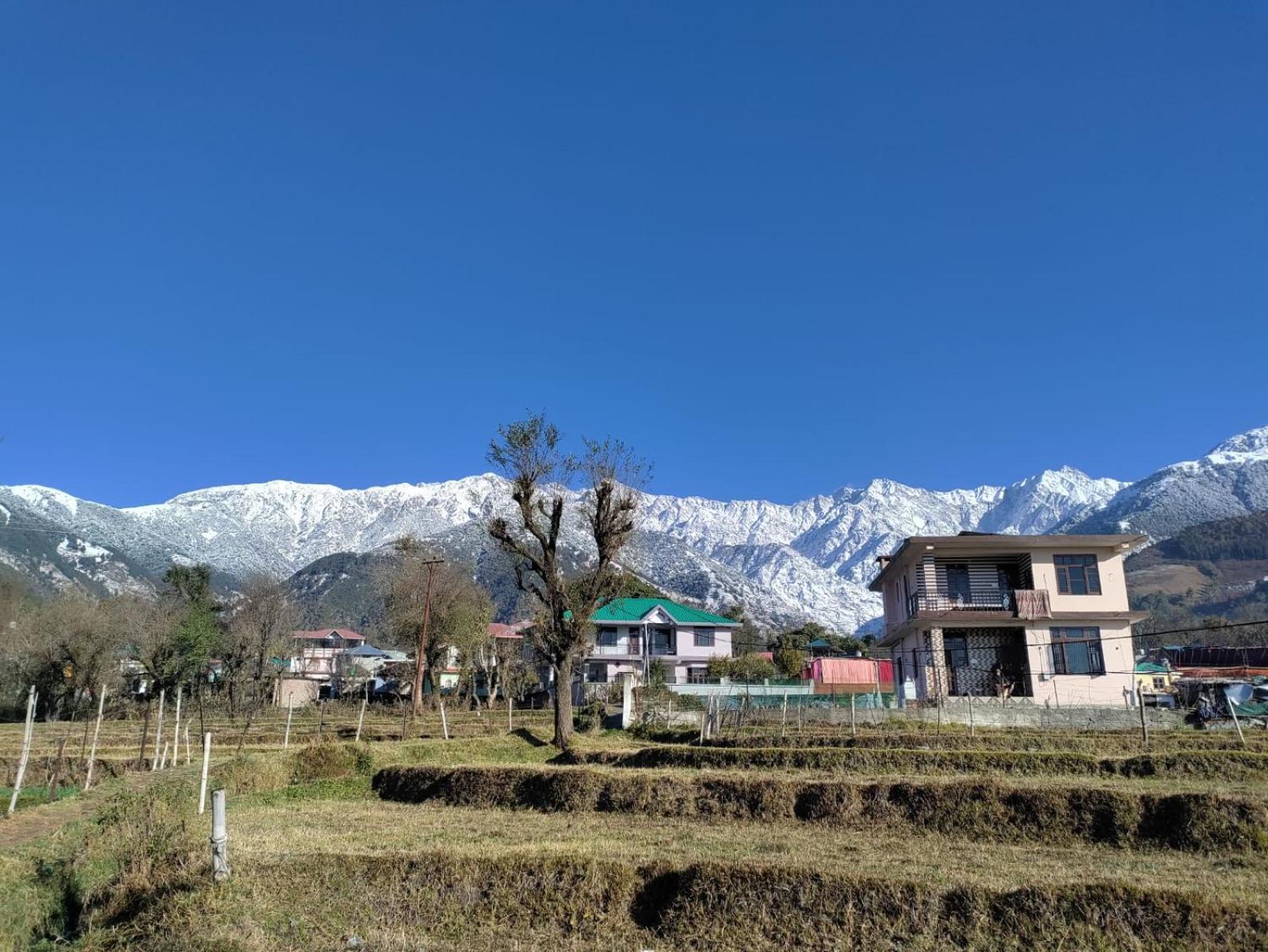 Homestay Palampur View Esterno foto