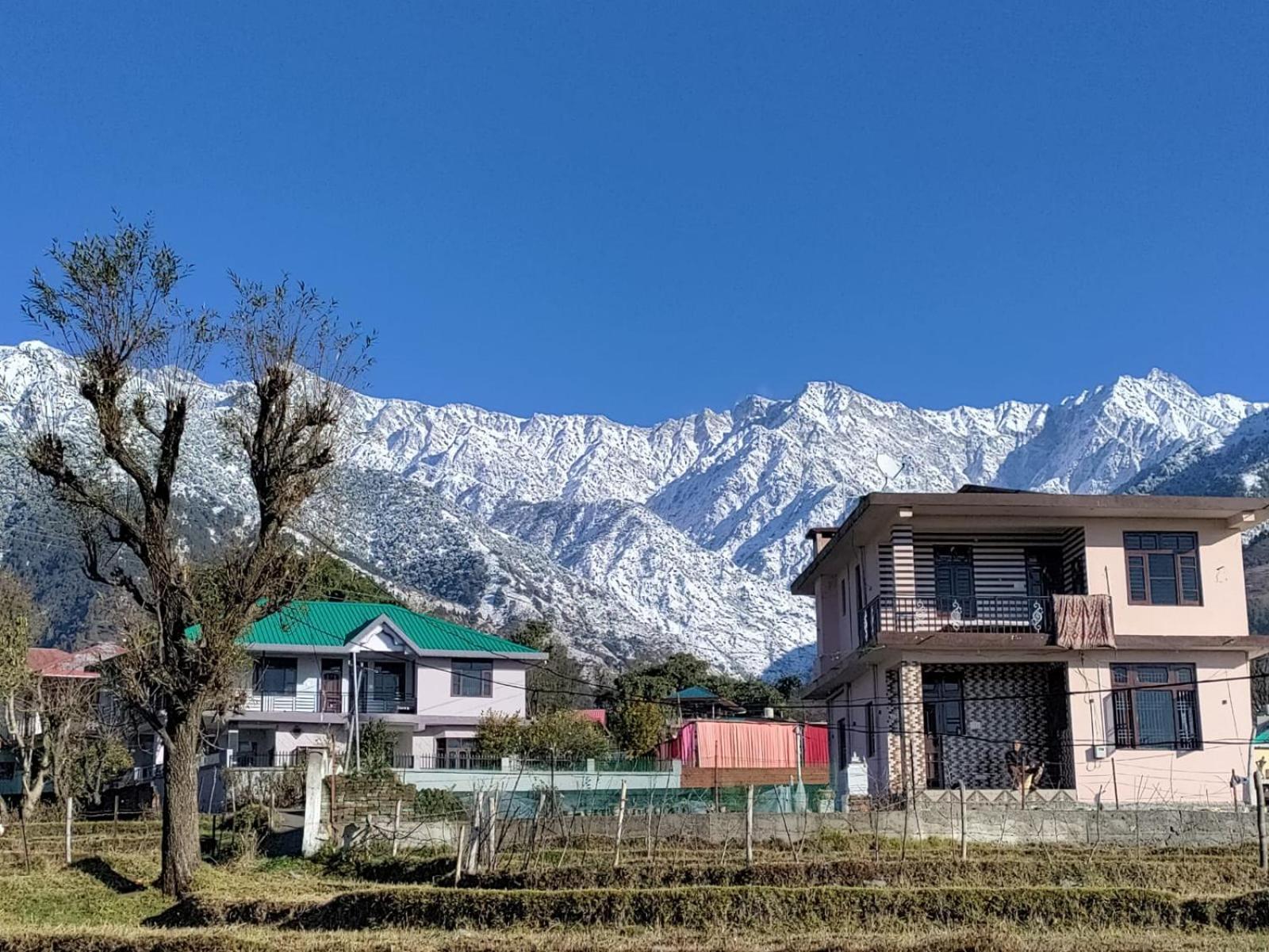 Homestay Palampur View Esterno foto